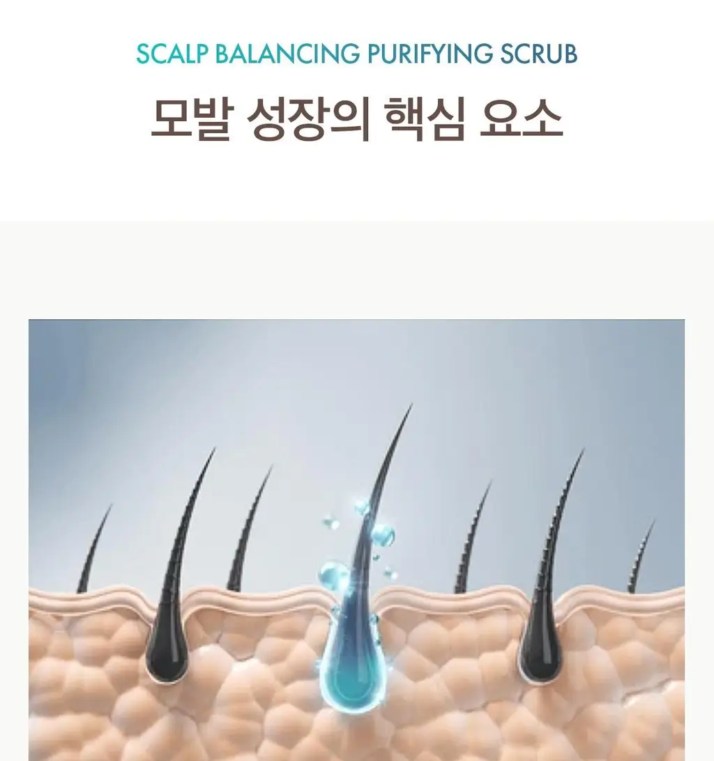 [두피 스크럽] 모로칸오일 퓨리파잉 스크럽 125ml 상세페이지 13